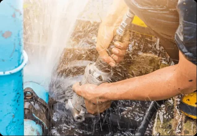 Preventive Damage Management