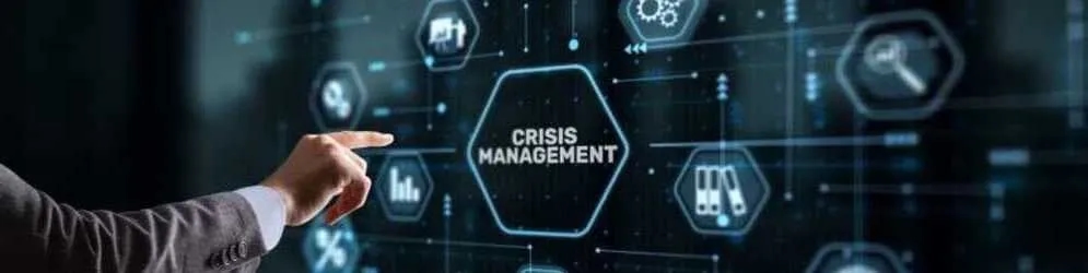 Emergency Info Sharing Strategies for Fast Crisis Response