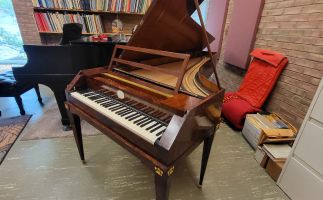 Image for Protecting Precious Pianos